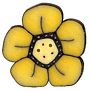 Large Daffodil Wildflower